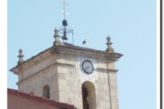 20030503-FiestadeMayo_16