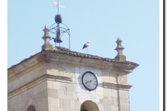 20030503-FiestadeMayo_17