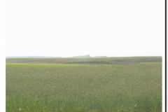 20030518-Adrada_07