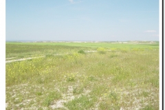 20030518-Adrada_11