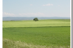 20030518-Adrada_12