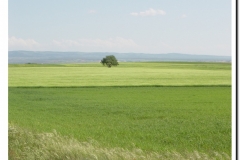 20030518-Adrada_13