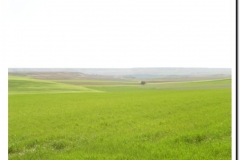 20030518-Adrada_14