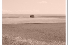 20030518-Adrada_15