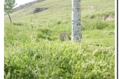 20030518-Adrada_26