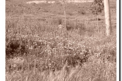 20030518-Adrada_30