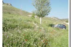 20030518-Adrada_40