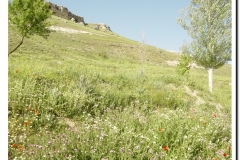 20030518-Adrada_41