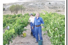 20030925-Vendimia_01