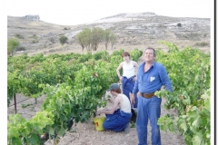 20030925-Vendimia_02