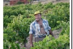 20030925-Vendimia_07