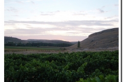 20030925-Vendimia_10