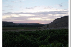 20030925-Vendimia_11