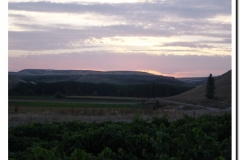 20030925-Vendimia_12