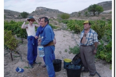 20030925-Vendimia_16