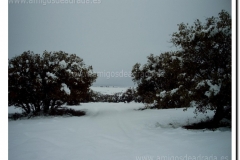 INVOIX    IGITAL CAMERA