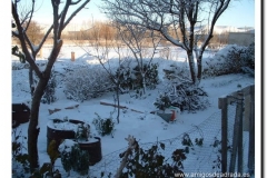 2004-21-p-navidad 2004