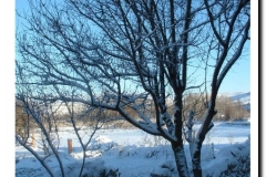 2004-22-p-navidad 2004