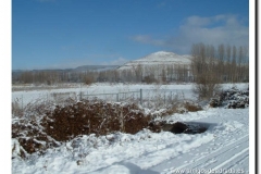 2004-26-p-navidad 2004