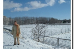 2004-27-p-navidad 2004