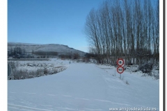 2004-29-p-navidad 2004