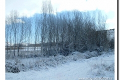 2004-30-p-navidad 2004