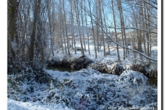 2004-35-p-navidad 2004