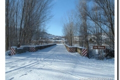 2004-36-p-navidad 2004