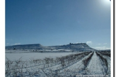 2004-39-p-navidadd 2004