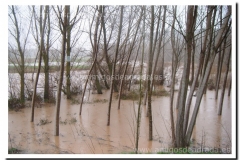 20130329_01-Desbordamiento