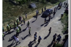 2015-08-09_003-Dianas