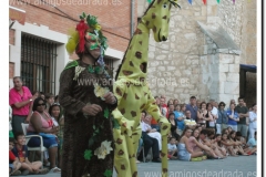 20130804_29-disfraces