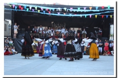 20130803_13-Fiestas Adrada