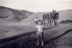 Rosa-Miguel Angel Trillando