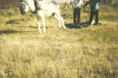 Trillando Juliete y Peroncho