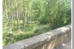 20060526-fotos de todo tipo (58)