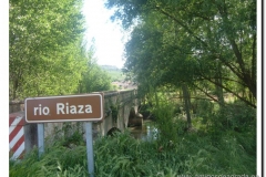 20060526-fotos de todo tipo (61)