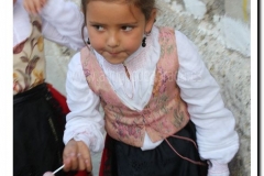 20100902-jotas en nava_003