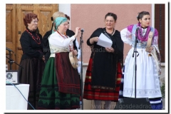 20100902-jotas en nava_009