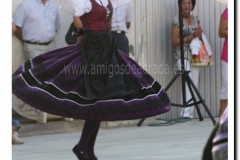 20100902-jotas en nava_030