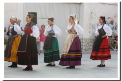 20100902-jotas en nava_032