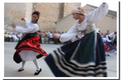 20100902-jotas en nava_067