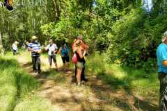 paseo-interpretativo