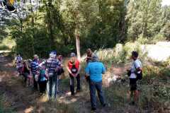 ribera-del-rio-Riaza