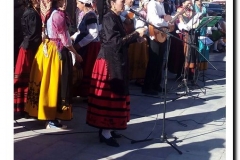 V Festival Folklore(4)