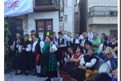 V Festival Folklore(5)